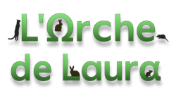 L'Arche de Laura – Pension pour animaux à Grand-Bigard